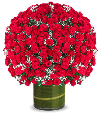 500 Royal Roses Dubai
