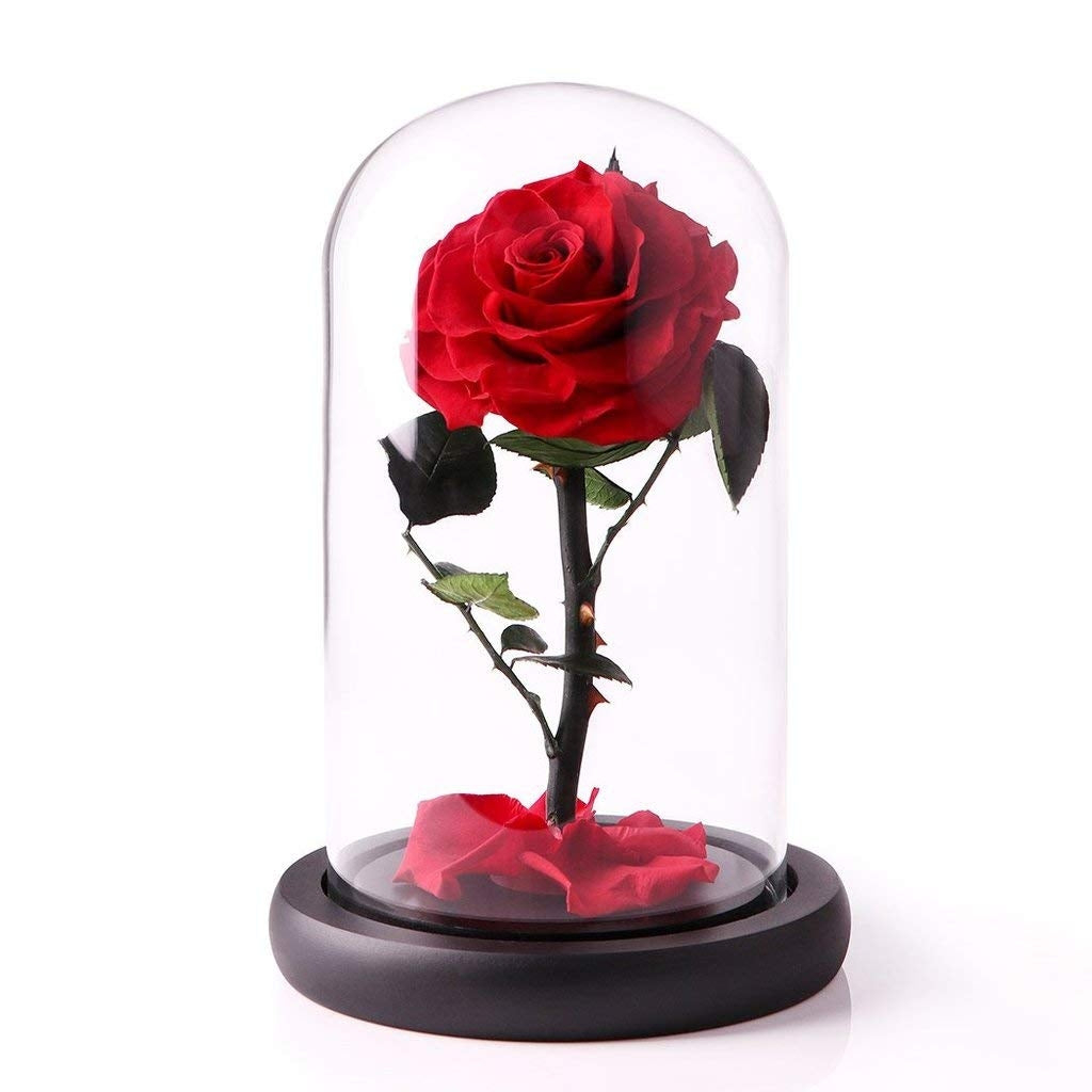 Preserved red rose dubai