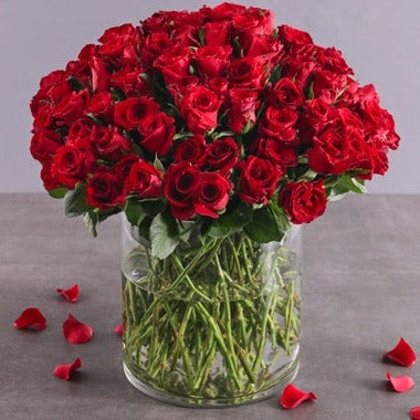 Send Valentine Red Roses Online UAE