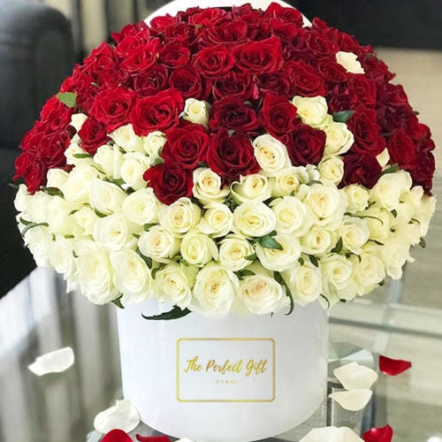 300 Luxury Roses Gift Box Dubai