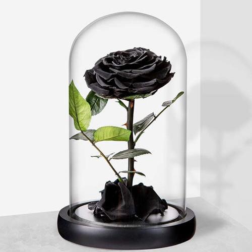 Romantica rosa in finto cristallo con scatola di fiori, ornamento artigianale, regalo di San Valentino – acquista a prezzi convenienti sul marketplace Romantica rosa in finto cristallo con scatola di fiori, ornamento artigianale, regalo di San Valentino – acquista a prezzi convenienti sul marketplace