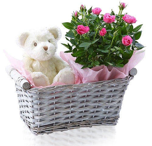 Teddy & Flowers Basket Dubai