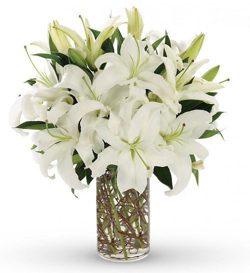 White Lilies - Dubai
