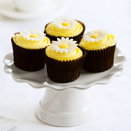 Yellow Daisies Cupcakes Dubai